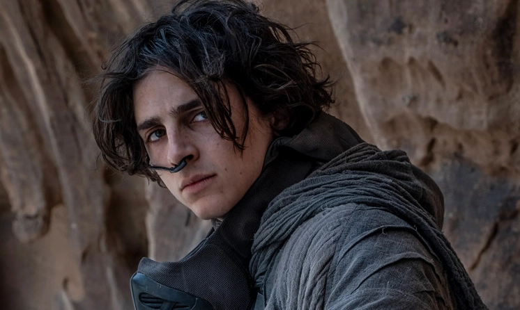 kham-pha-su-nghiep-timothee-chalamet-cac-tap-phim-ang-xem_157