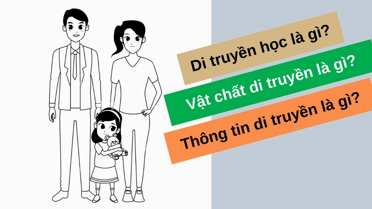 Minh họa DNA và ứng dụng y học