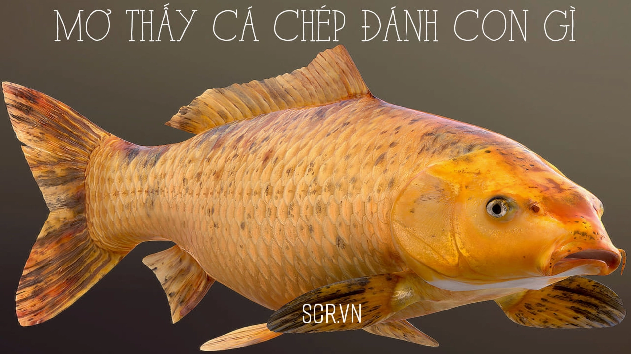 mo-ca-chep-anh-con-gi-giai-ma-giac-mo-va-con-so-may-man-2026_608