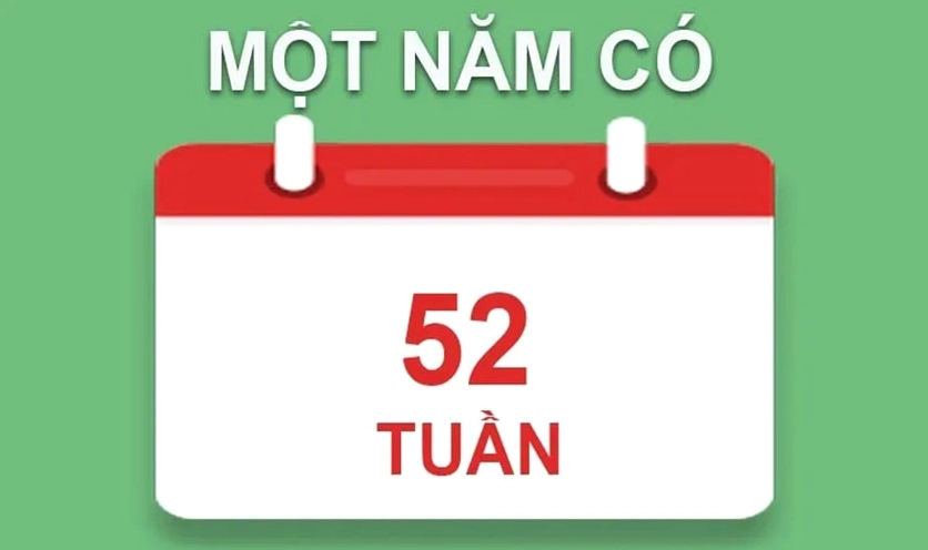 1 Năm Học Có Bao Nhiêu Tuần? Giải Đáp Chi Tiết & Chuẩn Nhất 2026 Một năm học có bao nhiêu tuần