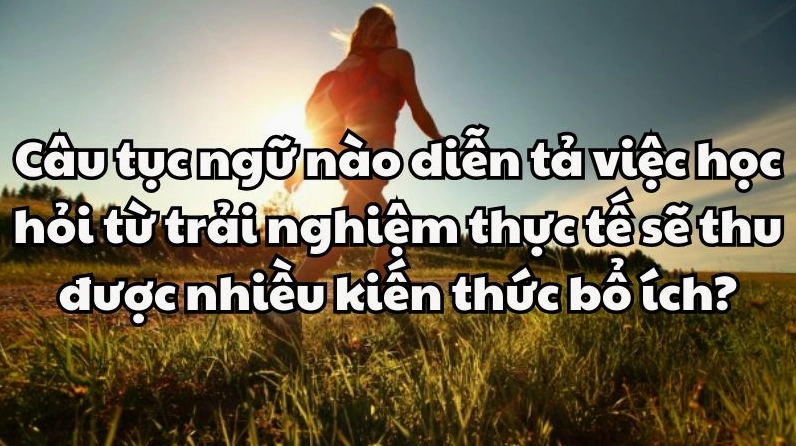 Câu tục ngữ nào diễn tả học hỏi từ thực tế? Một người đang thực hành công việc với sự hỗ trợ của người hướng dẫn