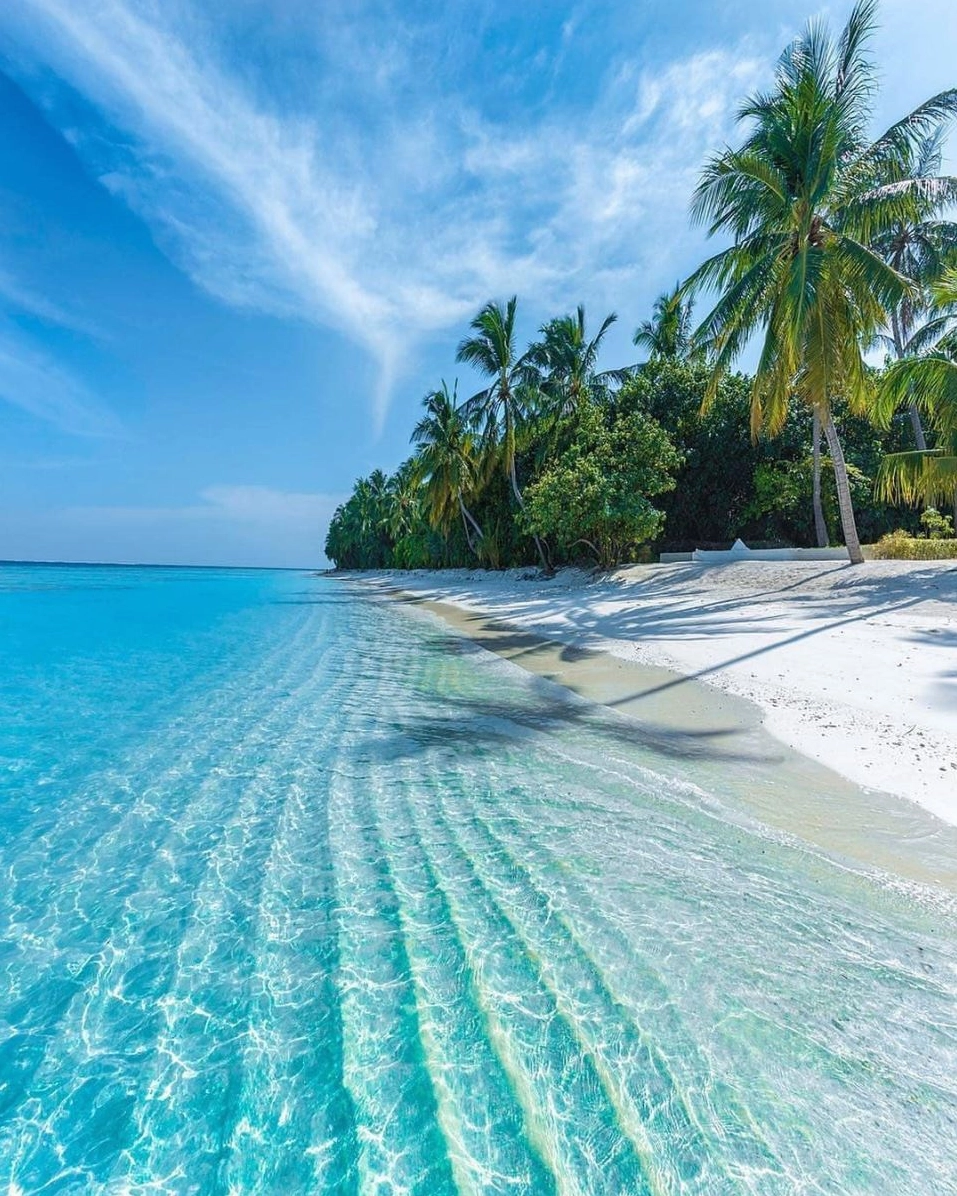 Một thợ lặn đang ngắm nhìn đàn cá nhiệt đới dưới đáy biển Maldives