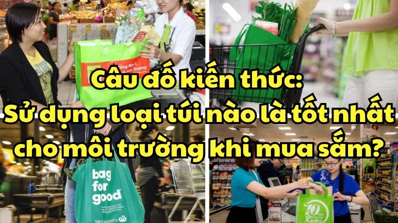 Người phụ nữ đang lựa chọn túi mua sắm thân thiện môi trường