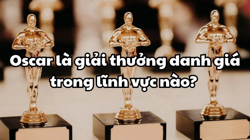 oscar-la-giai-thuong-danh-gia-trong-linh-vuc-nao-he-lo-toan-_480