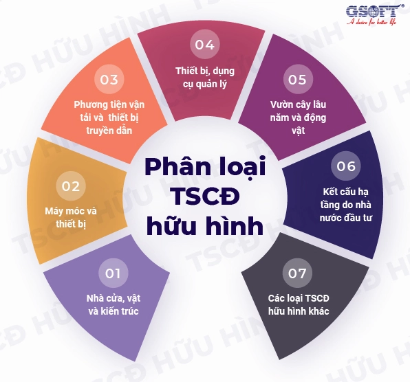Phân loại tài sản cố định hữu hình theo mục đích sử dụng