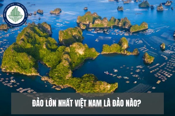 Rạn san hô đa dạng dưới biển Phú Quý