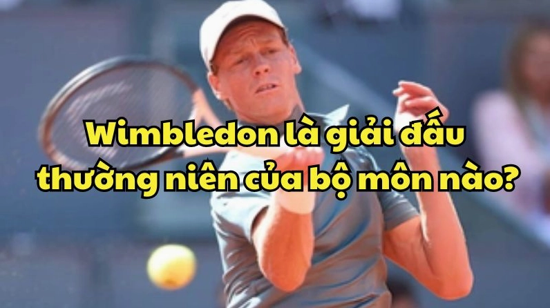 Wimbledon là giải đấu thường niên của bộ môn nào? Khám phá giải Grand Slam huyền thoại Sân cỏ xanh mướt tại Wimbledon