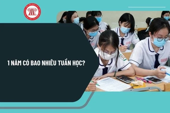 1 Năm Học Có Bao Nhiêu Tuần? Giải Đáp Chi Tiết & Chuẩn Nhất 2026 Số tuần học trong một năm phổ thông