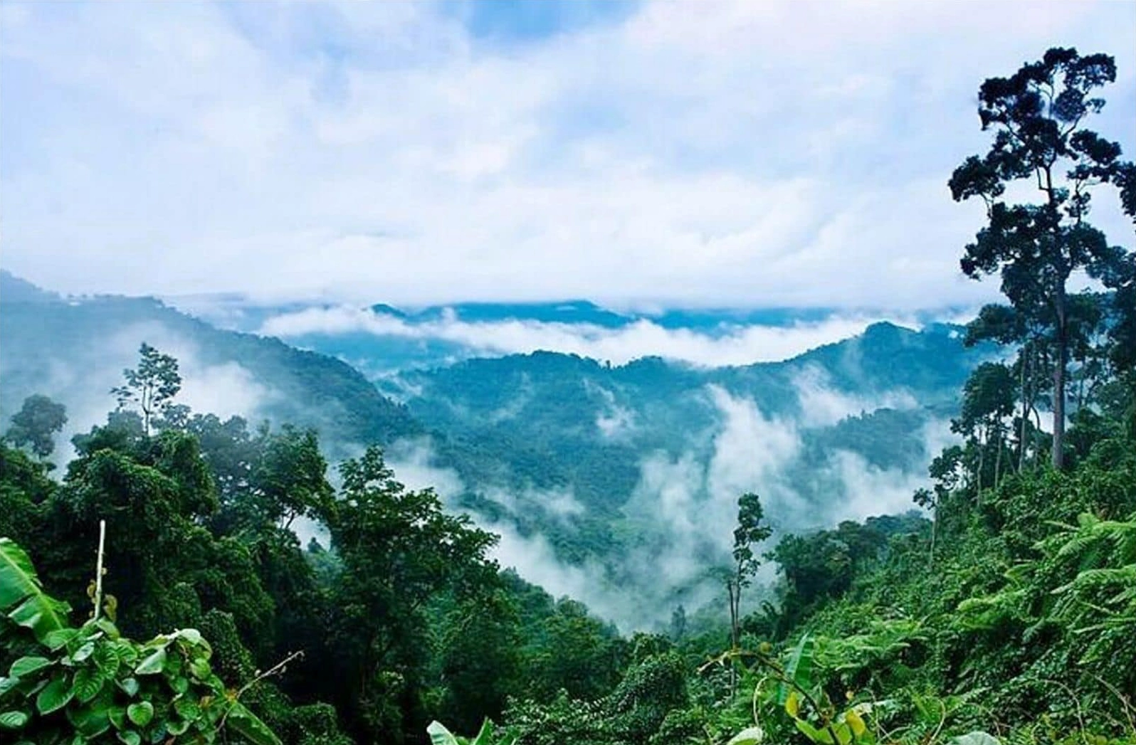 Tác động của con người lên rừng nguyên sinh