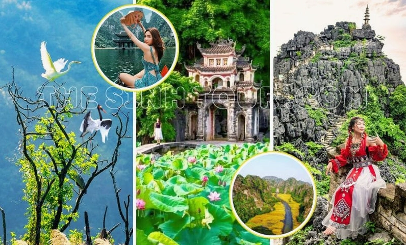 tour-du-lich-ninh-binh-2026-kham-pha-di-san-the-gioi_422