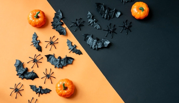 Trang trí Halloween màu đen