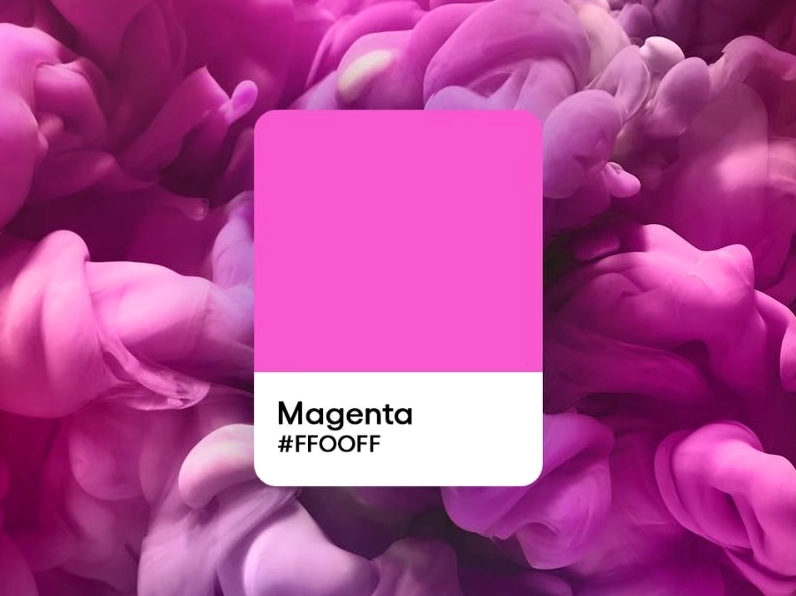 Trang trí nội thất với màu magenta
