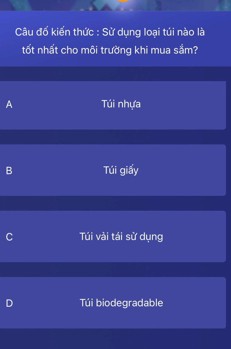 Túi vải canvas bền và đẹp